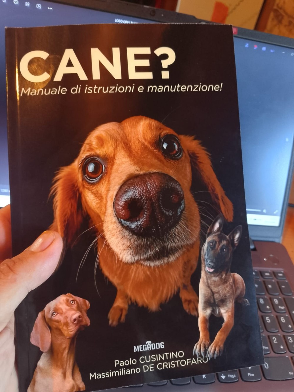 image cover media